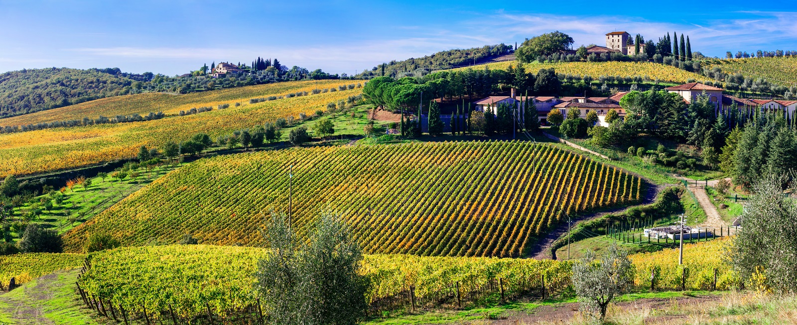 brunello wine tour from siena